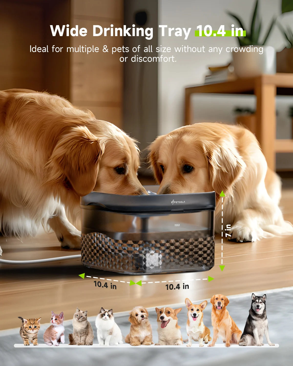 Pet Water Fountain My Store