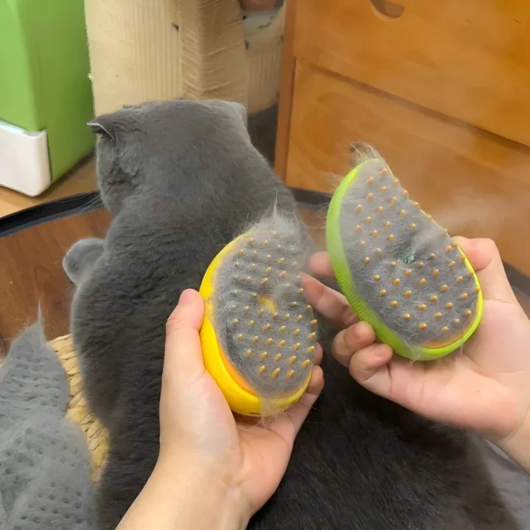 Pet Steamy Brush My Store