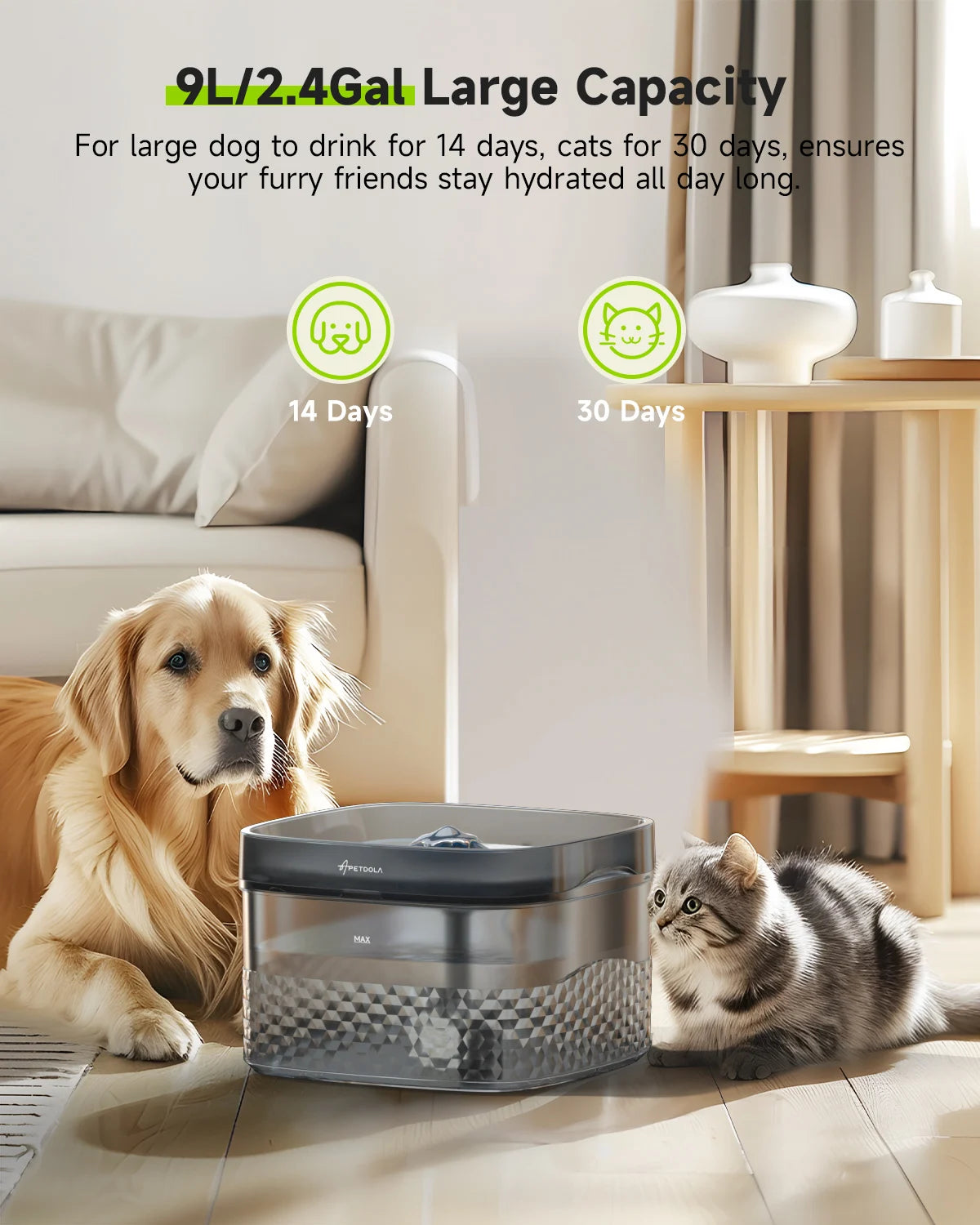 Pet Water Fountain My Store