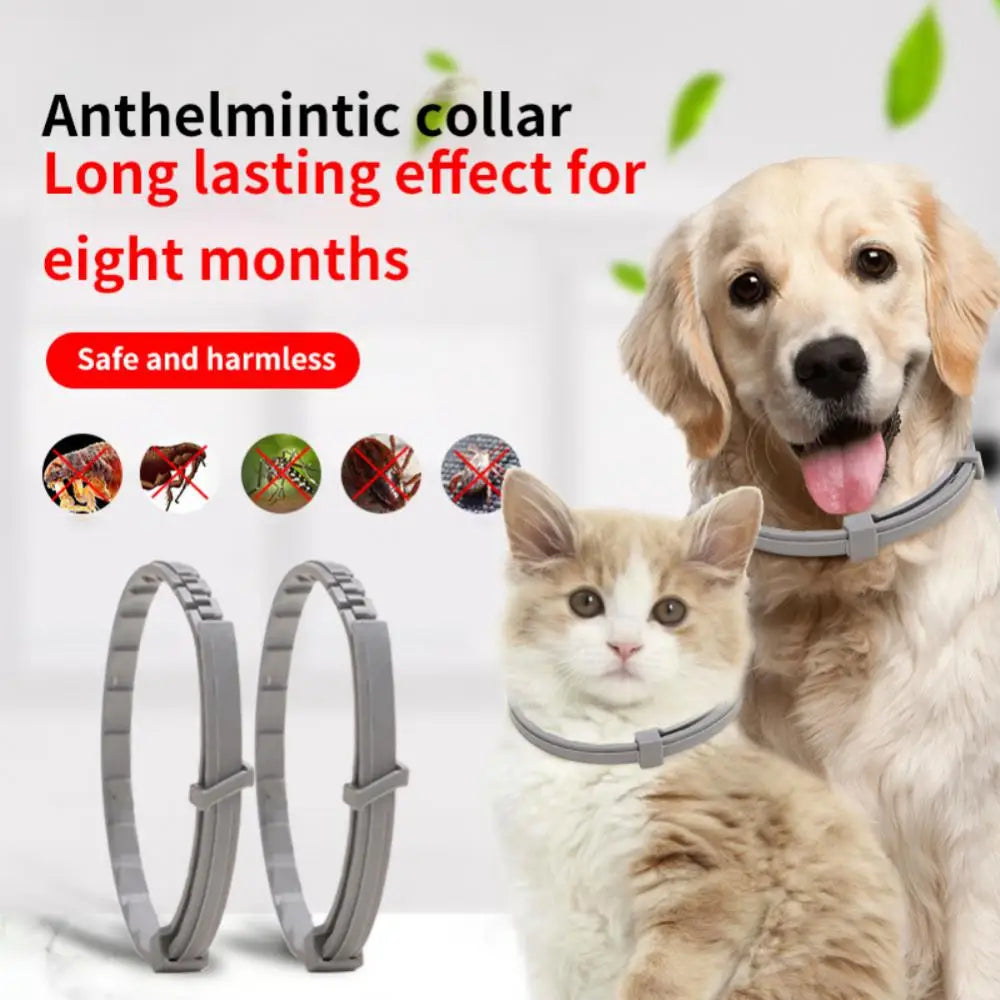 Dog and Cat Collar My Store