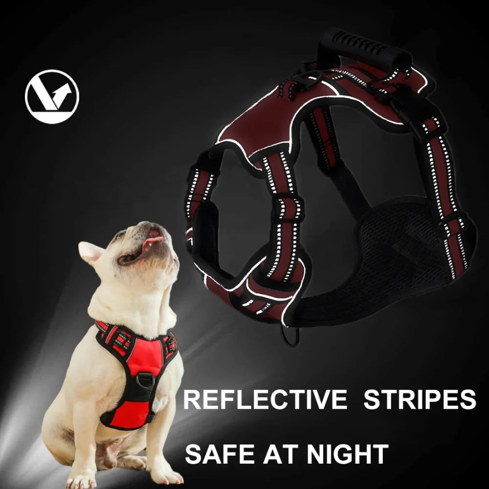 Pet Dog Harness My Store