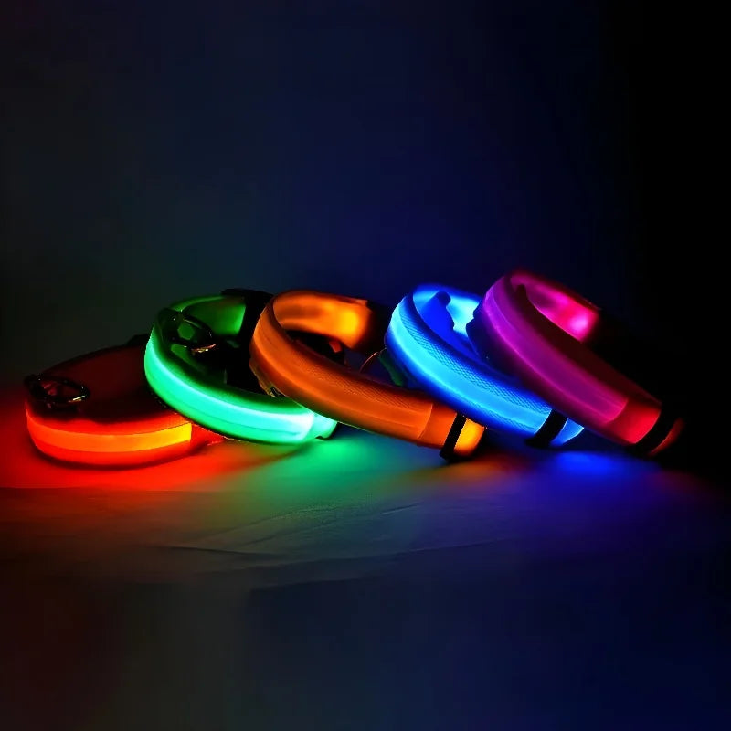 Dog Collar LED Night My Store