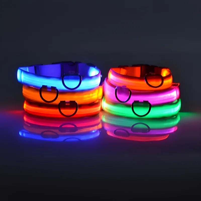 Dog Collar LED Night My Store