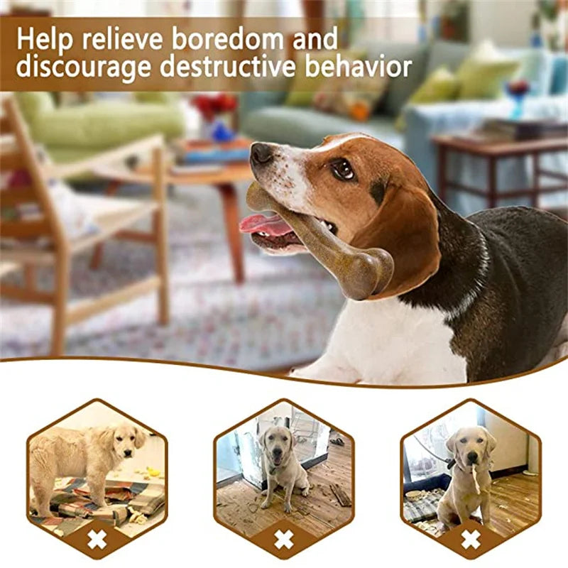 Pet Chew Game My Store