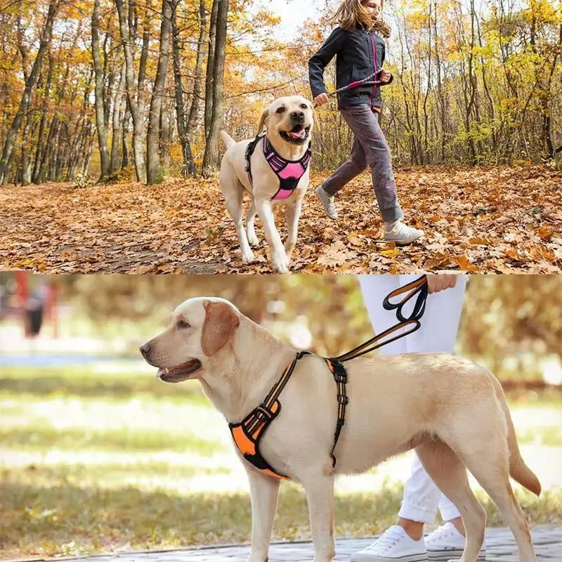 Pet Dog Harness My Store