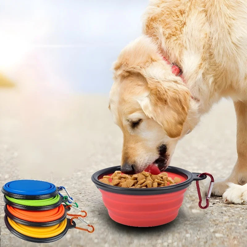 Pet Collapsible My Store