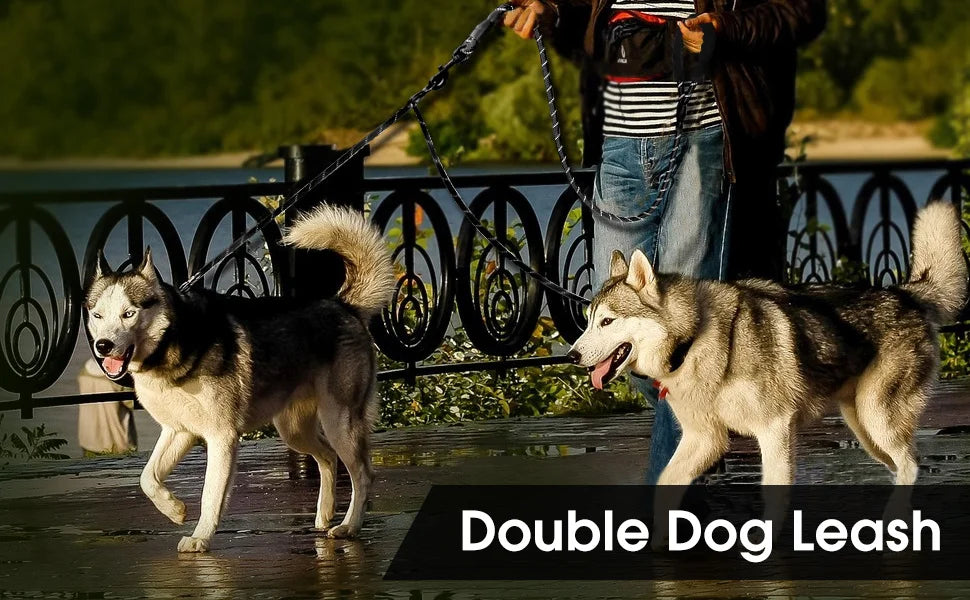 Dual Leash Dog Collar My Store