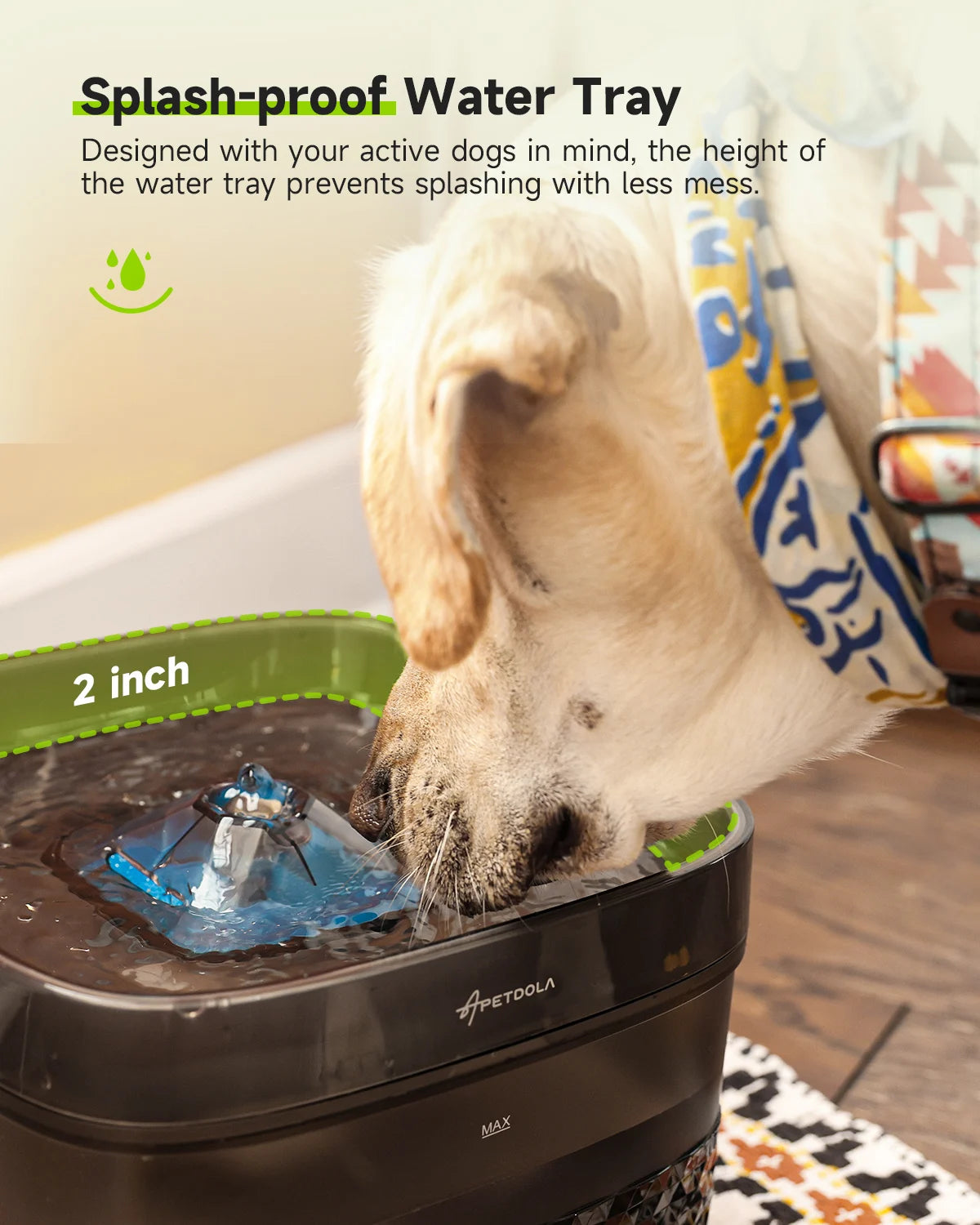 Pet Water Fountain My Store