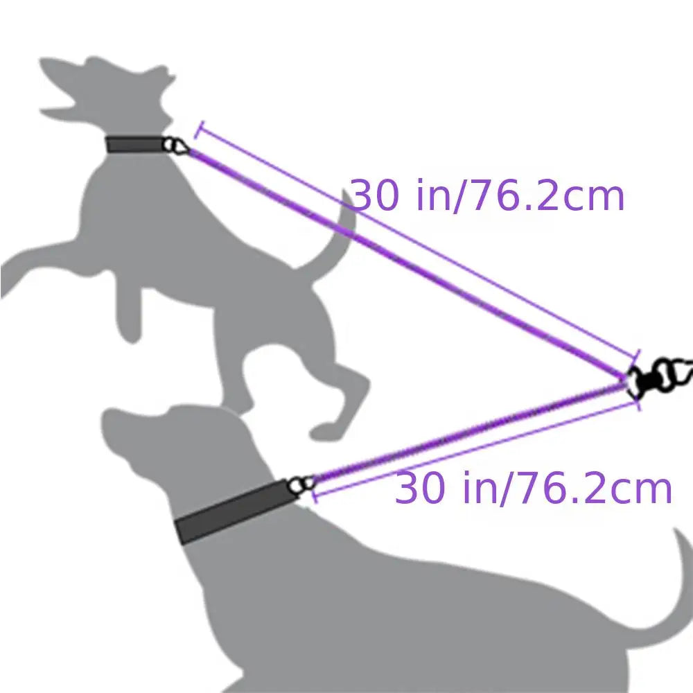 Dual Leash Dog Collar My Store