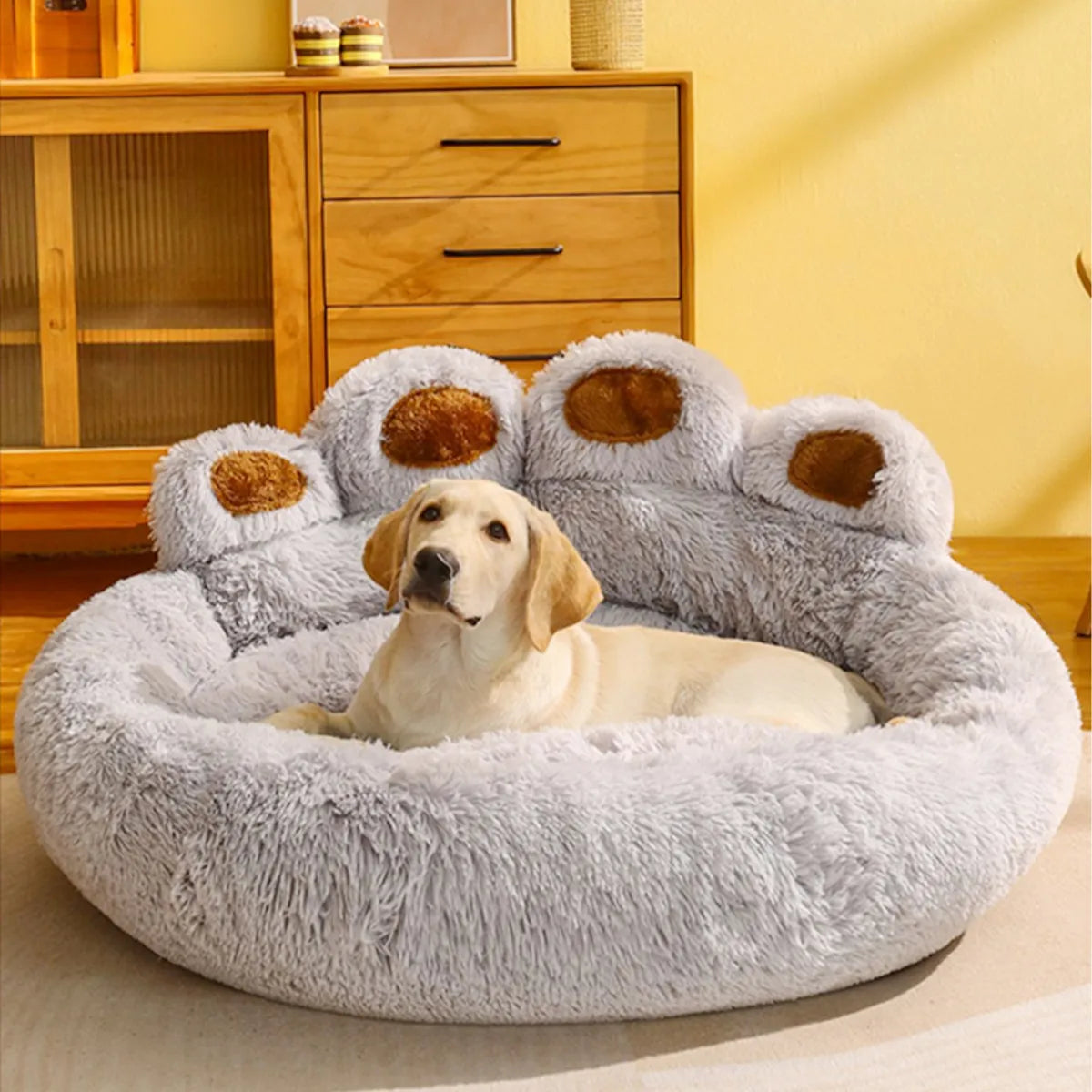 Dog Bed My Store