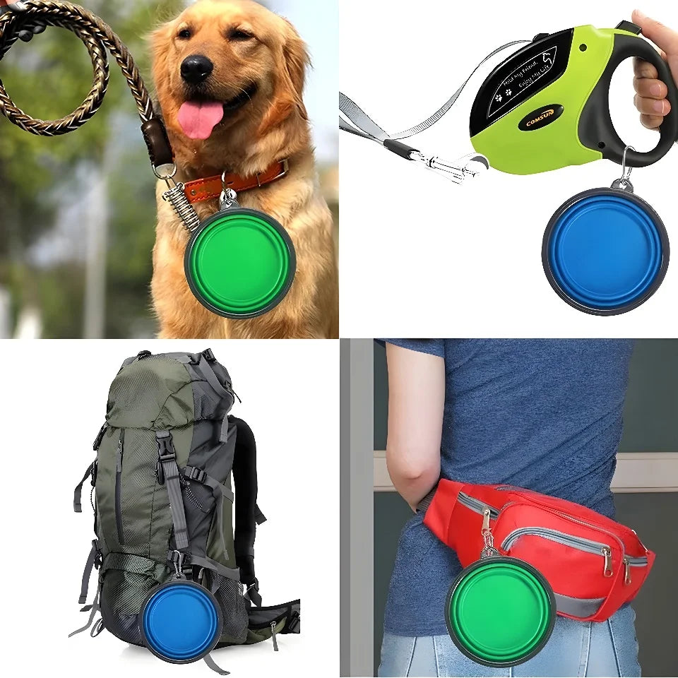 Pet Collapsible My Store