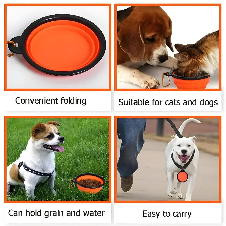 Pet Collapsible My Store