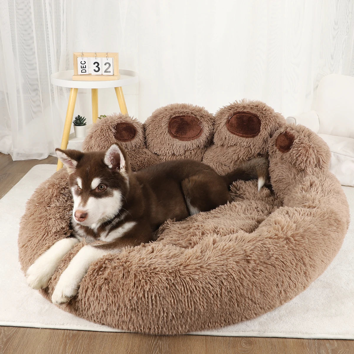 Dog Bed My Store