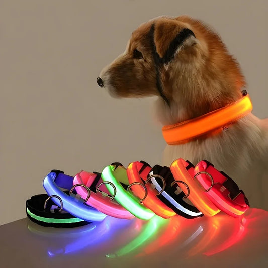 Dog Collar LED Night My Store