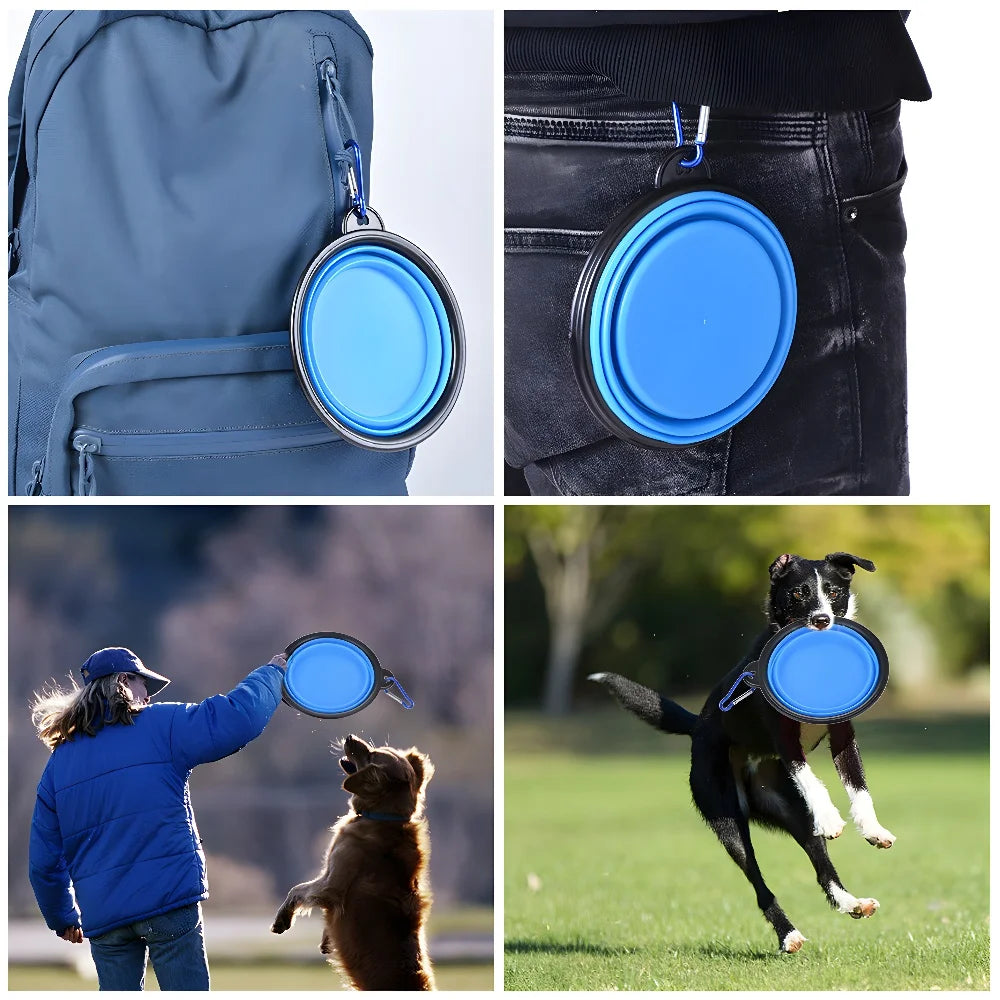 Pet Collapsible My Store